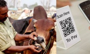 SBP, QR Code, Payment, Purchasing, Sacrificial Animals, Raast