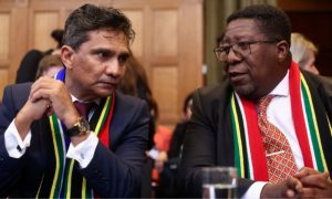 South Africa, International Court of Justice, Israel, Foreign Minister Naledi Pandor, Israel's military operation in Gaza,