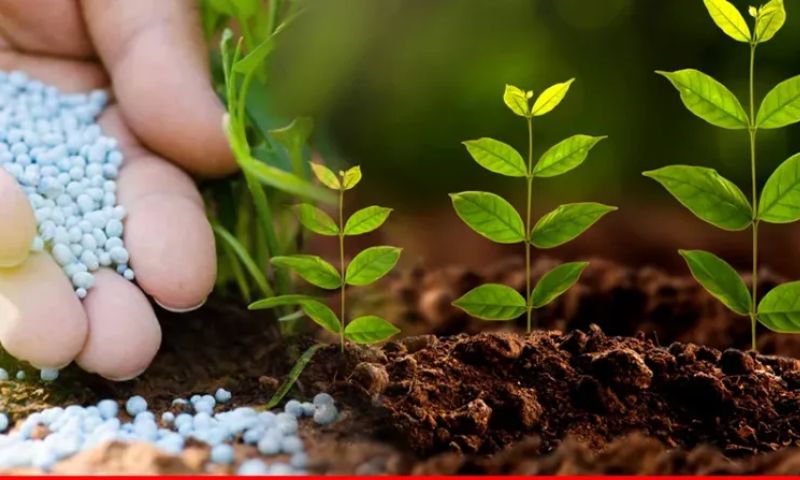 Pakistan, Urea, Prices, Rana Tanveer Hussain, Economic Coordination Council, Mari Gas Field, government, energy