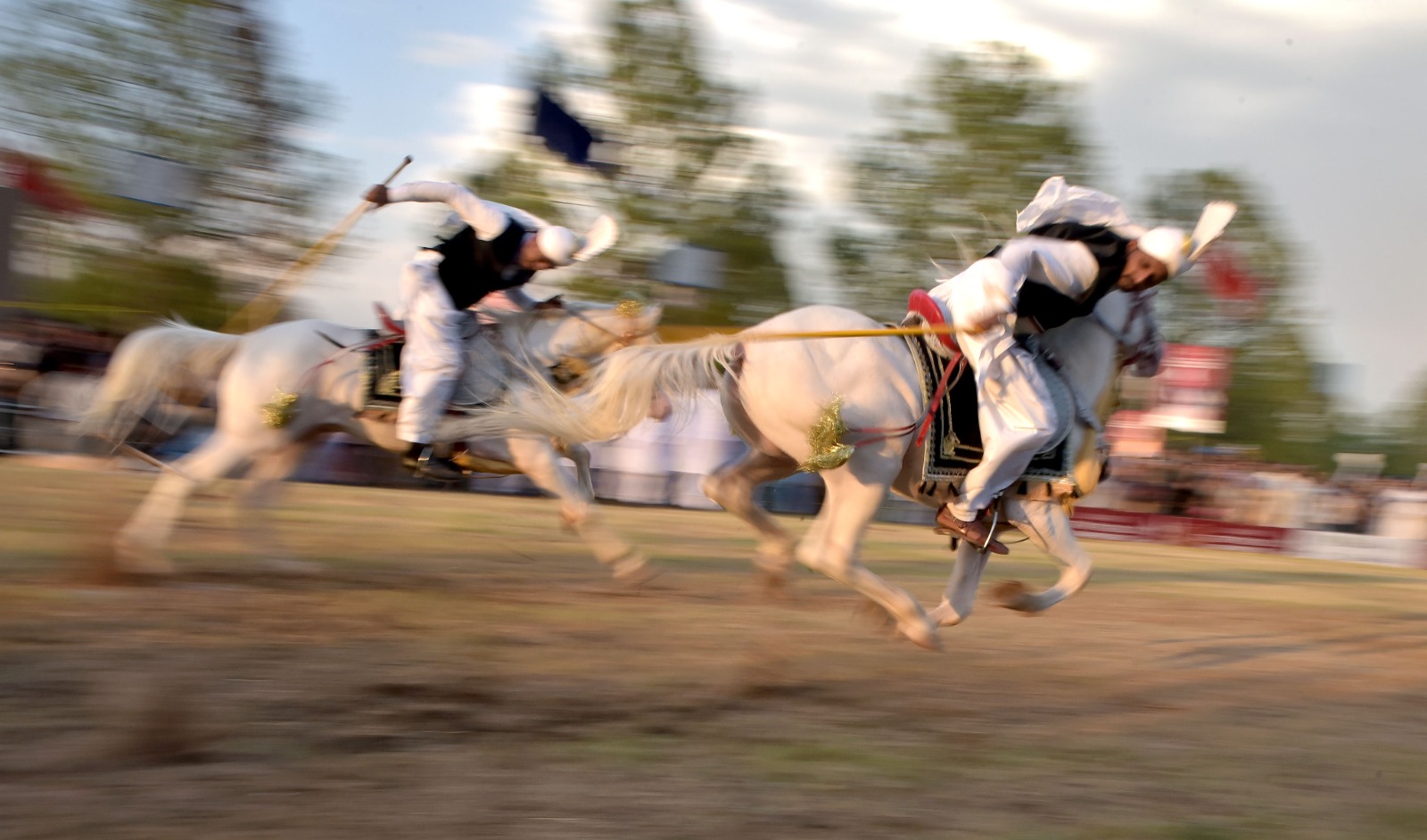 Tent Pegging 