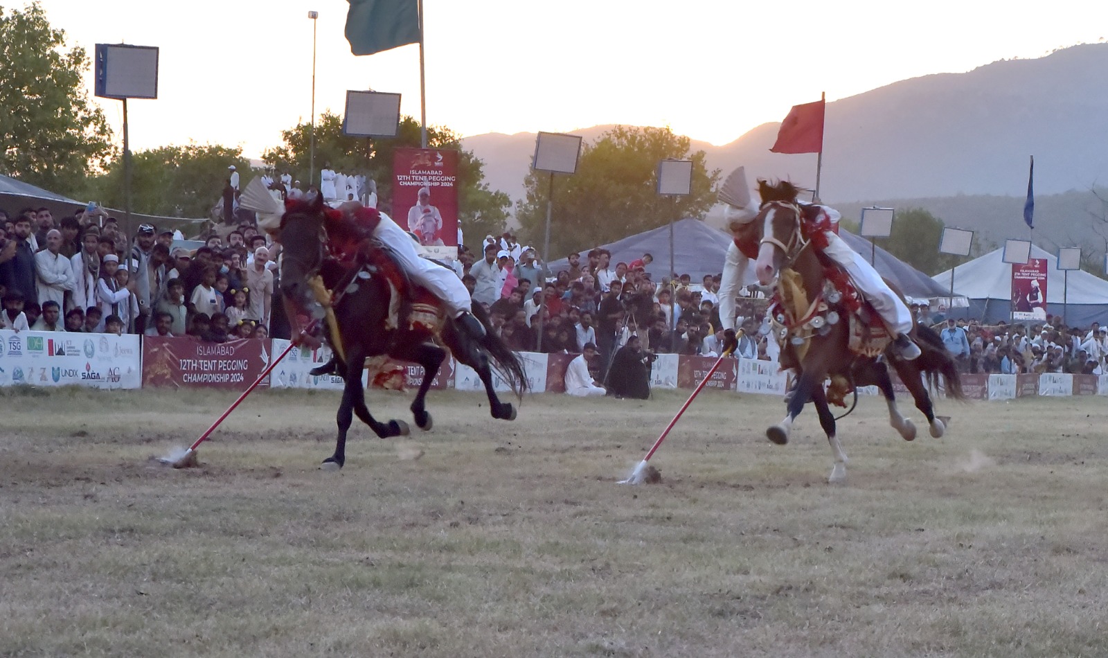 Tent Pegging 