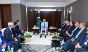 Chinese Company, Investing, Pakistan