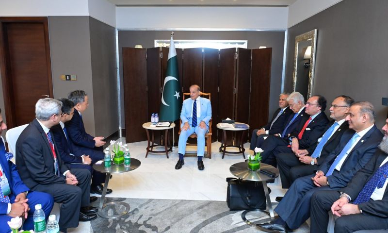 Chinese Company, Investing, Pakistan