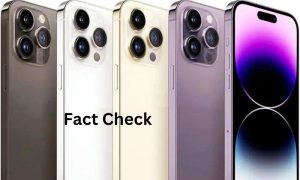 Fact Check 4