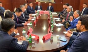 Pakistan, Chinese, Security, Interior Minister, Mohsin Naqvi, New York, Dasu Attack, Qi Yanjun, Chinese Nationals