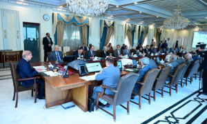 Pakistan’s federal cabinet, Prime Minister Shehbaz Sharif, Digital Nation Pakistan Act 2024, digitalize economy, National Digital Commission, Pakistan Digital Authority