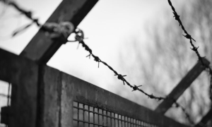 Poland Considers Closing Last Border Crossings with Belarus to Address Migrants Crisis