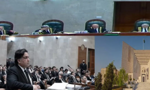 Reserved Seats, Supreme Cout, SIC's Petition