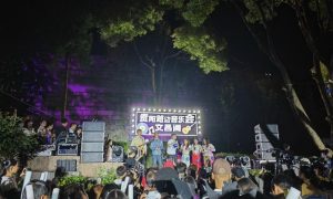 Manha Abdellah, Foreign students, Pakistan, Chinese counterparts, roadside concert, Guiyang, Guizhou Province, China, 2024 China-ASEAN Education Exchange,