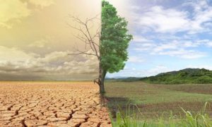 Climate Change, Strain, Global, Healthcare, Systems, Report