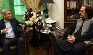 Interior Minister, Load Shedding, KP, Chief Minister, Khyber Pakhtunkhwa, Ali Amin Gandapur, Mohsin Naqvi,