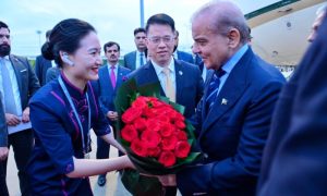 Pakistan, China, Shenzhen, Guangdong, Prime Minister, Shehbaz Sharif, Pakistan-China Business Conference, Chinese Companies