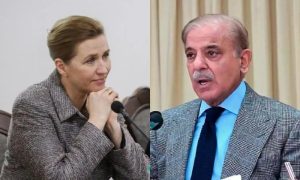 Pakistan's Prime Minister, Shehbaz Sharif, attack on Denmark Prime Minister, Mette Frederiksen,