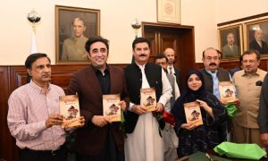 CPEC, China, Naz Parveen, China Window,