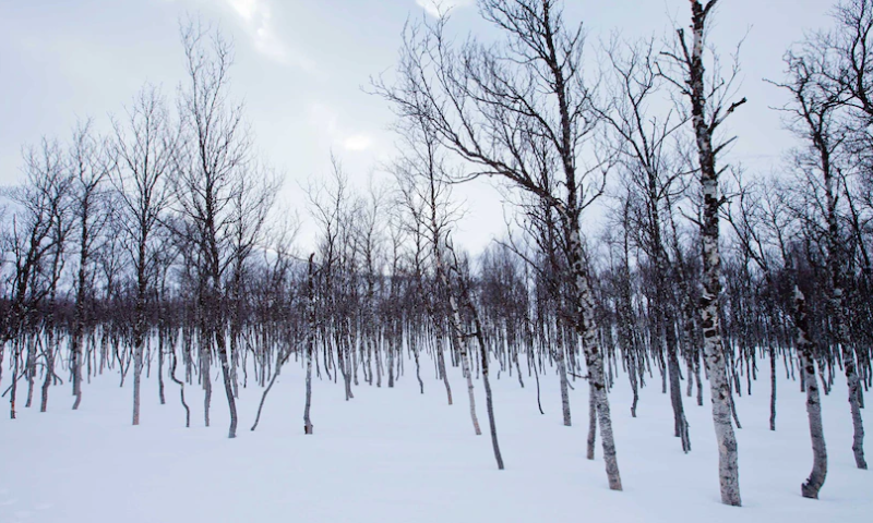 China Russia Push Back Against US Warning Over Growing Cooperation in Arctic 1