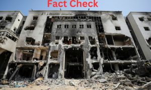 Fact Check 1