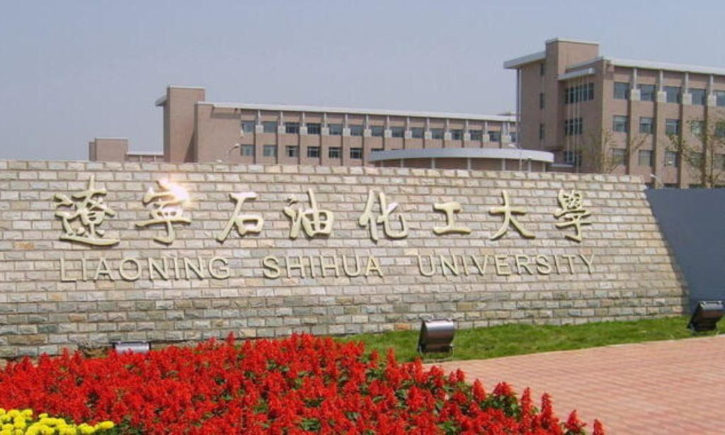 Liaoning Petrochemical College, North Eastern China, training program, Pakistani employees, Shandong Zhongyang Group, study in China,
