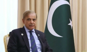 Pakistan PM, ICJ Ruling, Israel's Policies, Occupied Palestine,