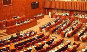 Pakistan, Senate Standing Committee on Law, number of judges, Supreme Court, pending cases, Farooq H Naik,