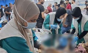 Pakistan, Deputy Prime Minister, Foreign Minister, Ishaq Dar, Senate, Palestinian medical students, medical studies, Pakistani colleges, Upper House of Parliament, Gaza,