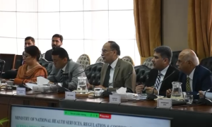 SIFC, Minister for Planning, Executive Committee, Investment,