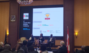 Zimbabwe to Host Canada Africa Business Conference 2