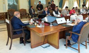 Pakistan, Federal Cabinet, privatization, Pakistan’s Power Division, power distribution companies, Quetta Electric Supply Company,