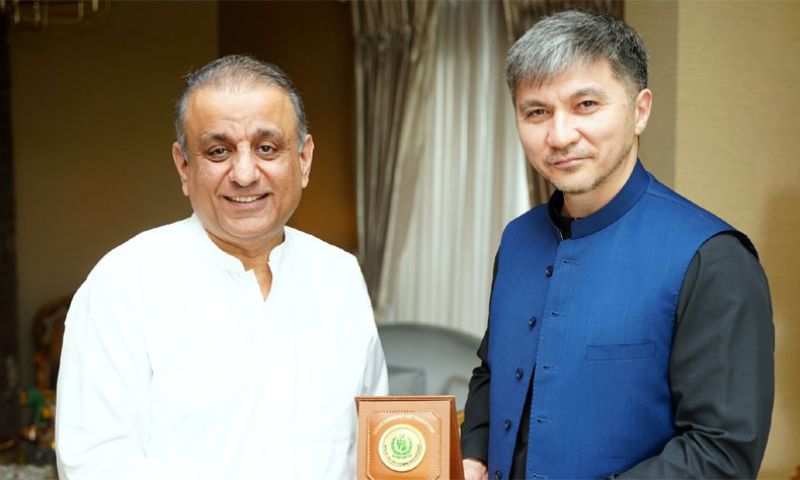 Privatization, Central Asia, Trade, Communications, Pakistan,