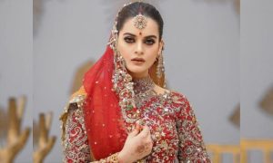 Pakistani Actor, Minal Khan, Marriage, Instagram, Social Media, Fan, Marriage Proposal, Ahsan Mohsin Ikram