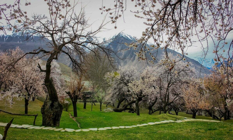 Pakistans Blossoming Tourism Landscape A Journey from Wilderness to Welcoming 3