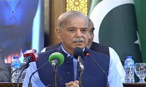 Pakistan, Minorities, National Minorities' Day, Minorities, Prime Minister, Shehbaz Sharif, President Asif Ali Zardari