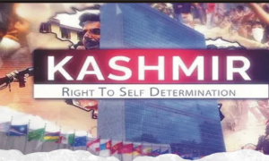 IIOJK, Kashmir, India, UN, Modi, UN Security Council