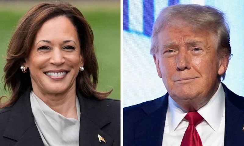 Trump, Trump, Harris, US Presidential Election, Donald Trump, Kamala Harris, New York, The New York Times, Siena College