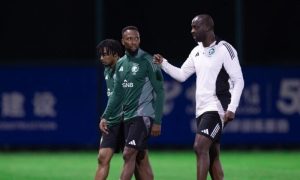 Green Falcons