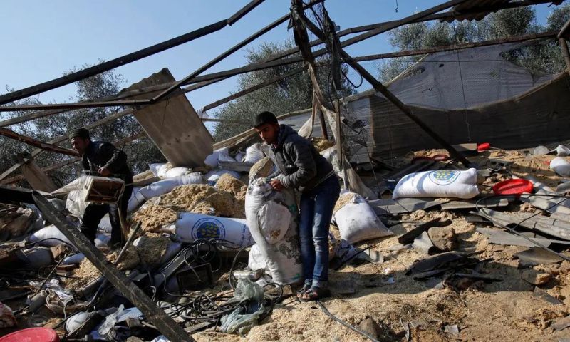 Saudi Arabia, Ministry of Foreign Affairs, Kingdom, Gaza, Israeli