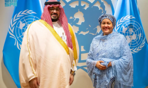 Saudi Arabia, United Nations, Kingdom, UN General Assembly,