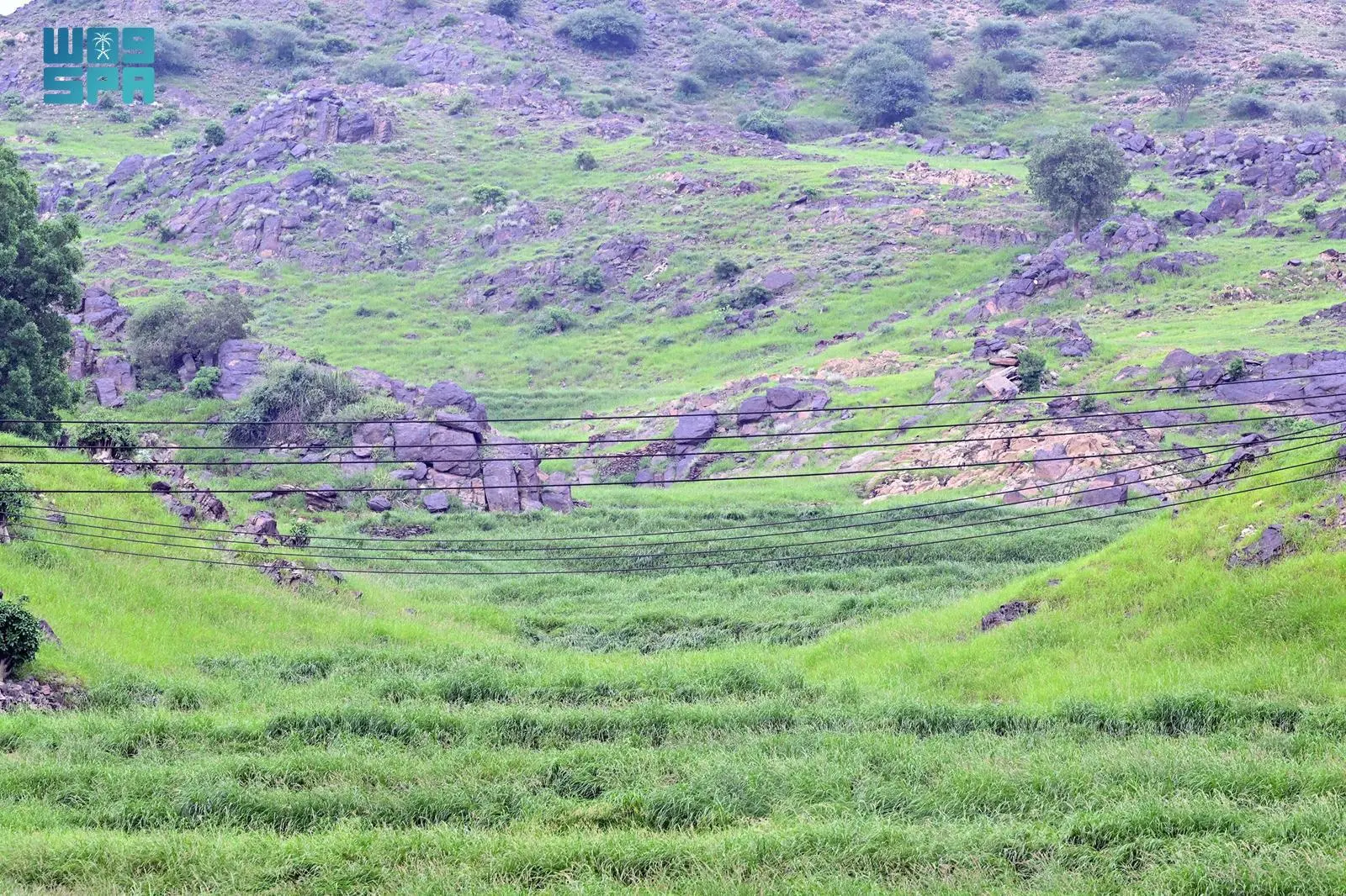 KSA