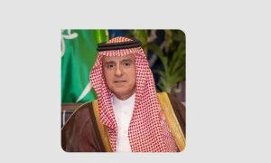 Saudi Arabia, Qatar, Climate Change, UN General Assembly,