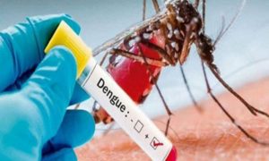 Dengue