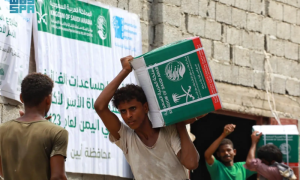 KSrelief, Yemen, Kingdom,
