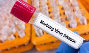 Rwandan Health Minister, Sabin Nsanzimana, vigilance, Marburg virus,