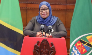 Tanzania, President Hassan, Suspends, Newspaper