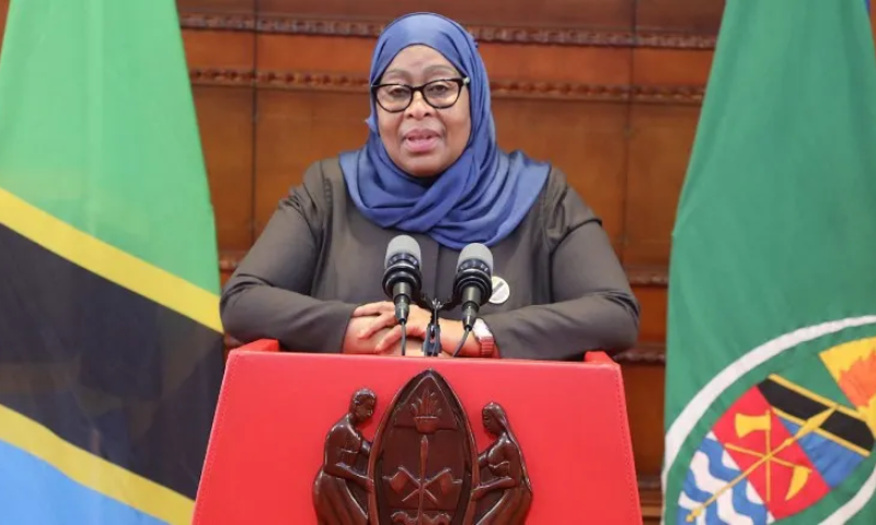 Tanzania, President Hassan, Suspends, Newspaper