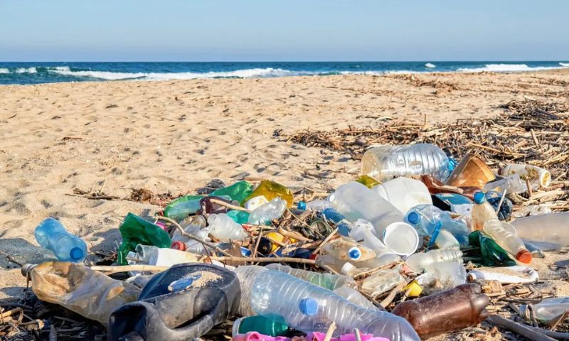 Australian researchers, plastic waste, beaches, Plastic Waste on Beaches, space, RMIT University, Melbourne, Beached Plastic Debris Index, BPDI,
