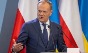 Baltic Sea Policing Mission, Prime Minister, Sea Cables, European,