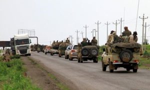 paramilitaries, Al-Jazira, paramilitary Rapid Support Forces, RSF,