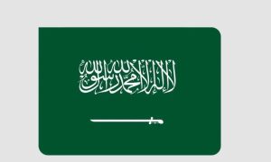Saudi Arabia, Kingdom, Cairo, Egypt, World Urban Forum, United Nations, Riyadh