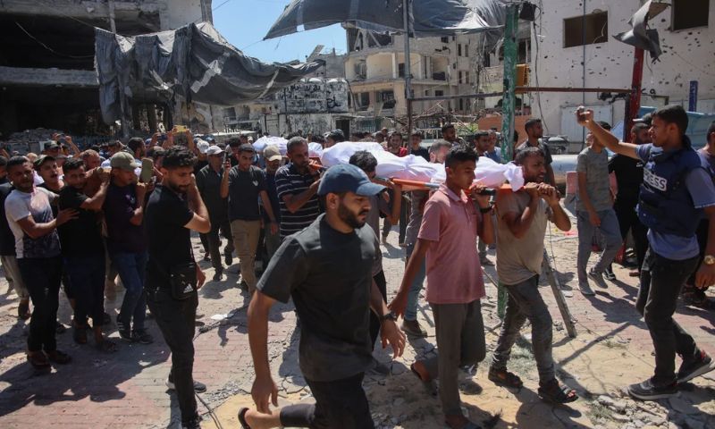 Gaza, Hamas, Israel, Palestinian, Refugee Camps, Hospitals, Healthcare, Egypt, Qatar