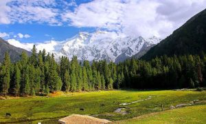 Climate Change, Mountains of Pakistan, Floods,