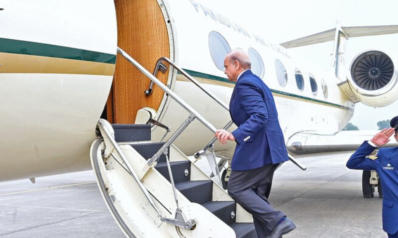 Lebanon, Gaza, Pakistani PM, D-8 countries